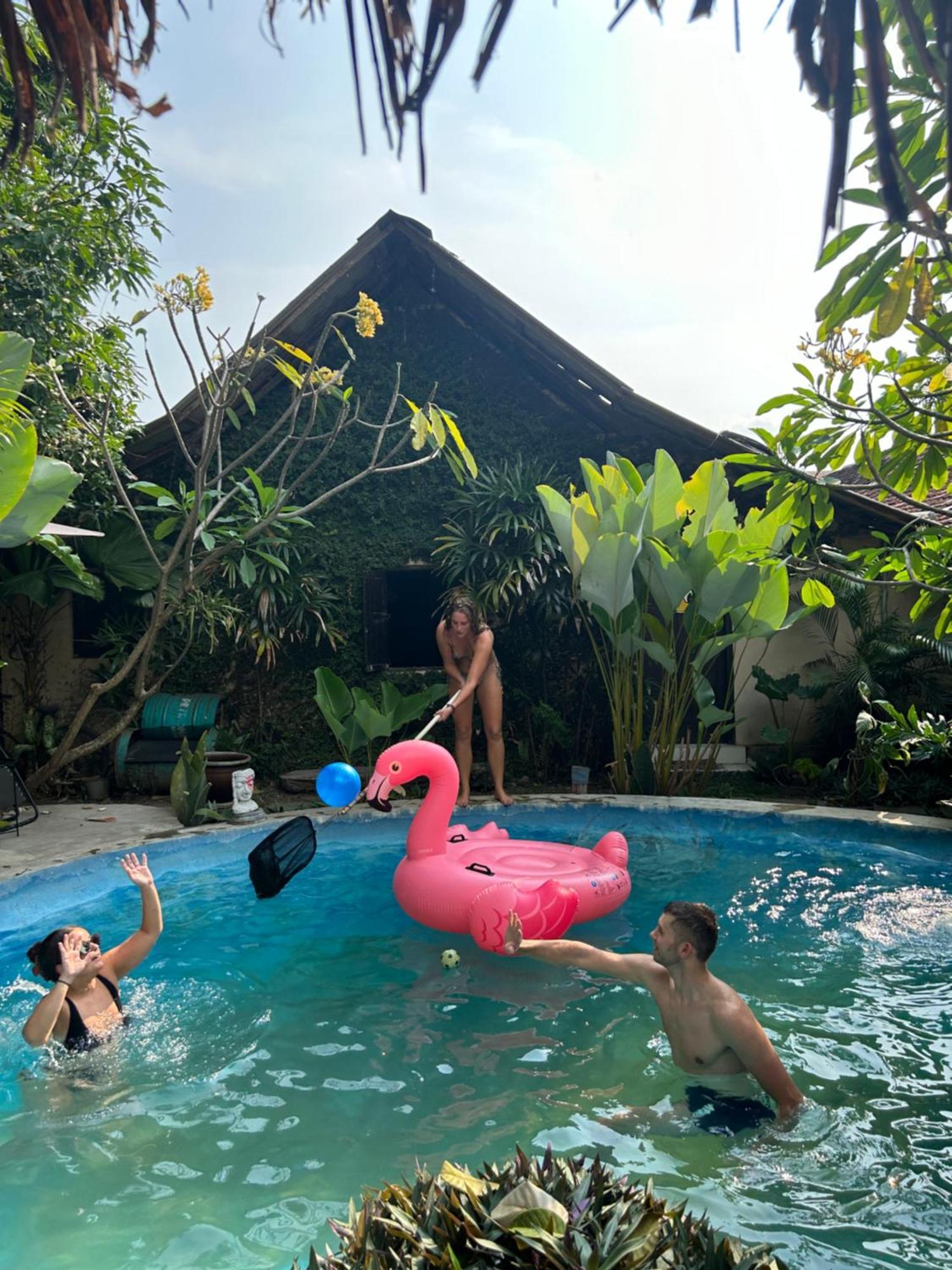 Losmanos Hostel Yogyakarta Ngoại thất bức ảnh